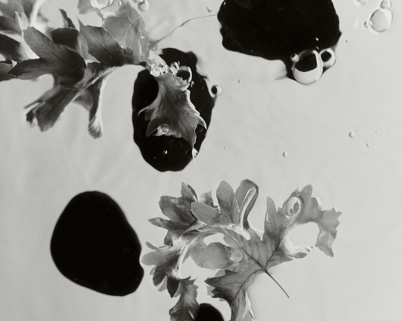 Best Facial Oils for Gua Sha Massage (And Why It Matters)