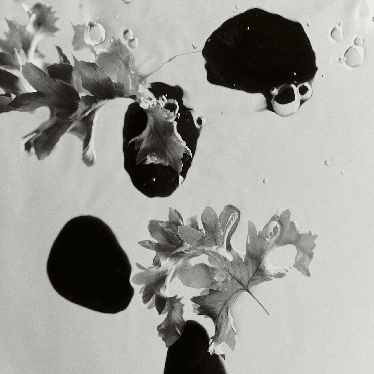 Best Facial Oils for Gua Sha Massage (And Why It Matters)