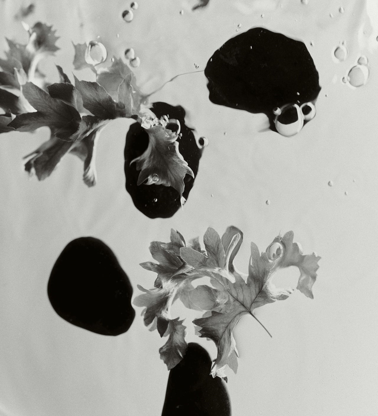 Best Facial Oils for Gua Sha Massage (And Why It Matters)