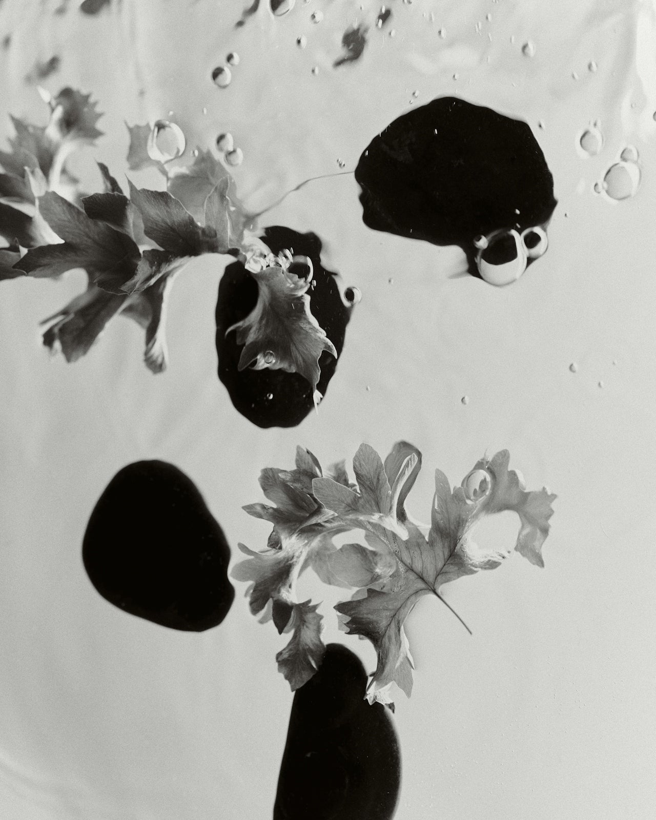 Best Facial Oils for Gua Sha Massage (And Why It Matters)