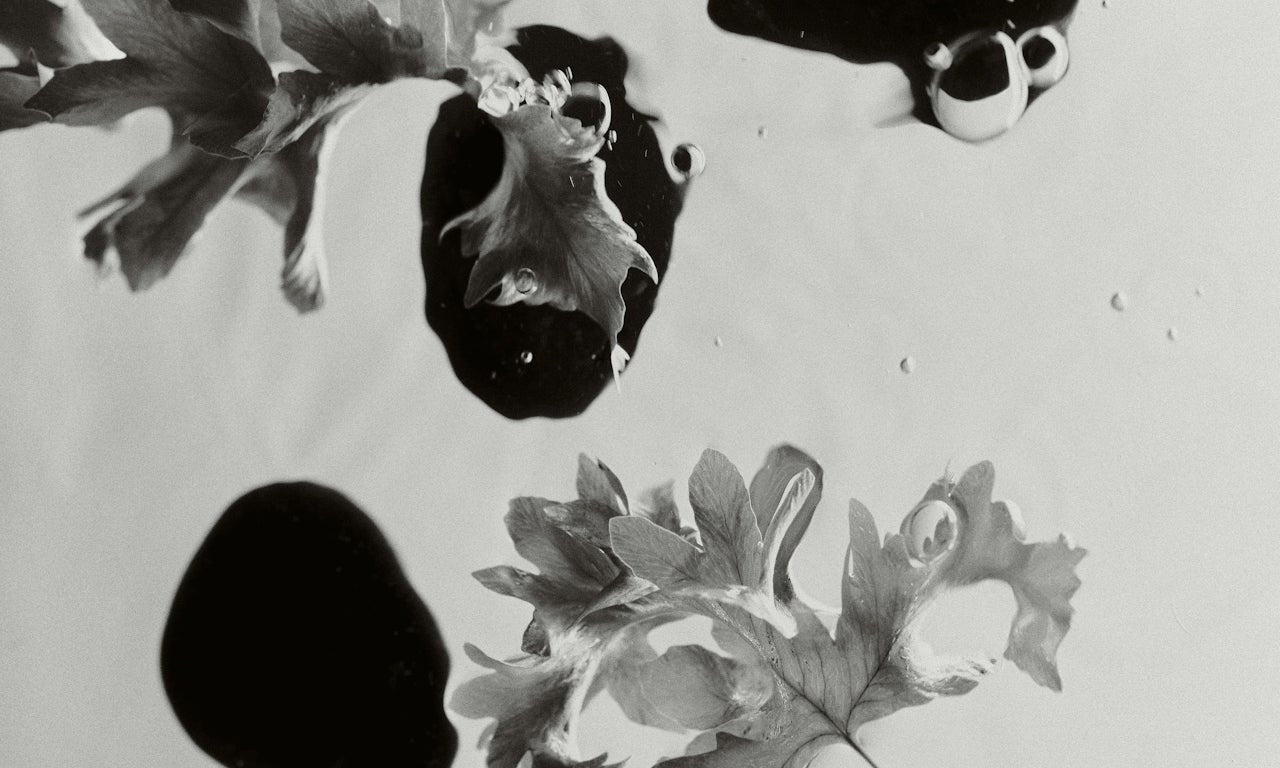 Best Facial Oils for Gua Sha Massage (And Why It Matters)