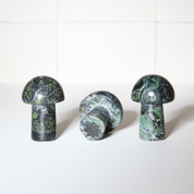 Gua Sha Shroom Massage Tool - Kambaba Jasper