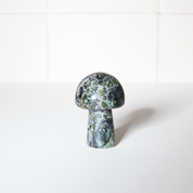 Gua Sha Shroom Massage Tool - Kambaba Jasper