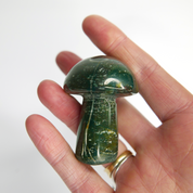 Gua Sha Shroom Massage Tool